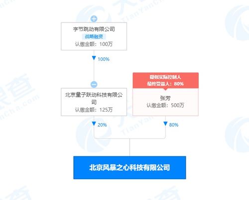 字節跳動關聯公司布局基礎軟件服務領域，戰略投資彰顯科技生態新動向